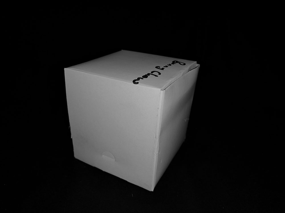 5 x 5 x 5.5 BUNNY CHOW BOX CC