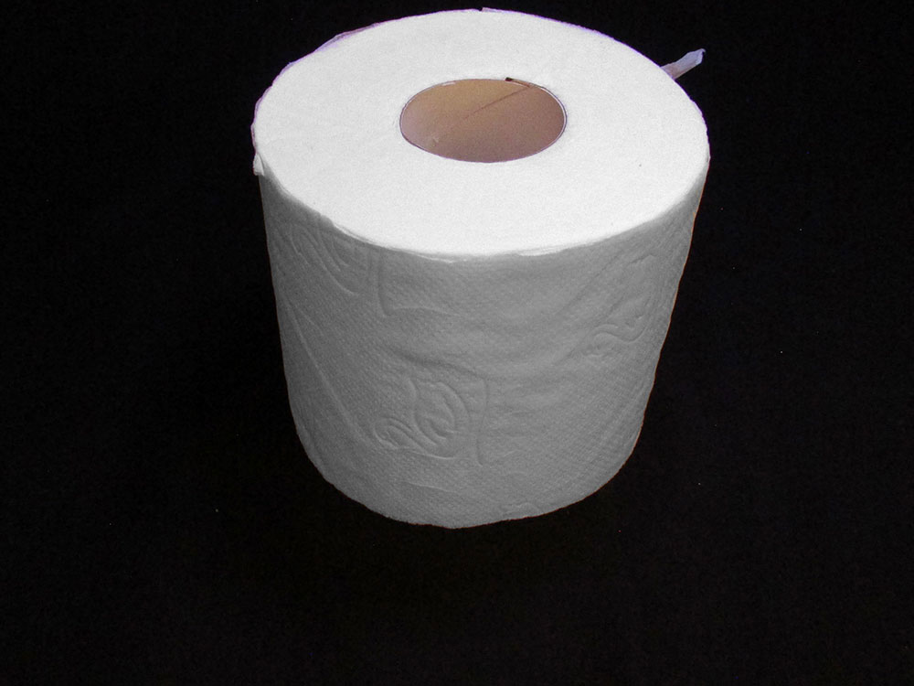 TOILET PAPER 2 PLY