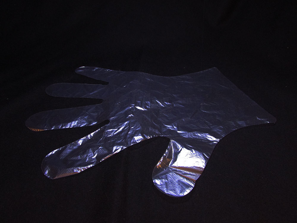 DISPOSABLE GLOVES