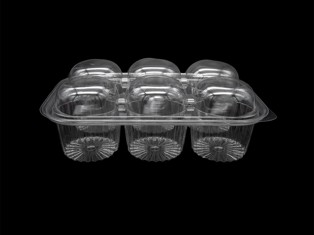 BAKERY TRAY 6 CUP CUPCAKE ZIBO